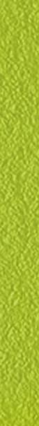 Керамическая плитка Sant Agostino Вставка Listello Green Mat 2.2x30