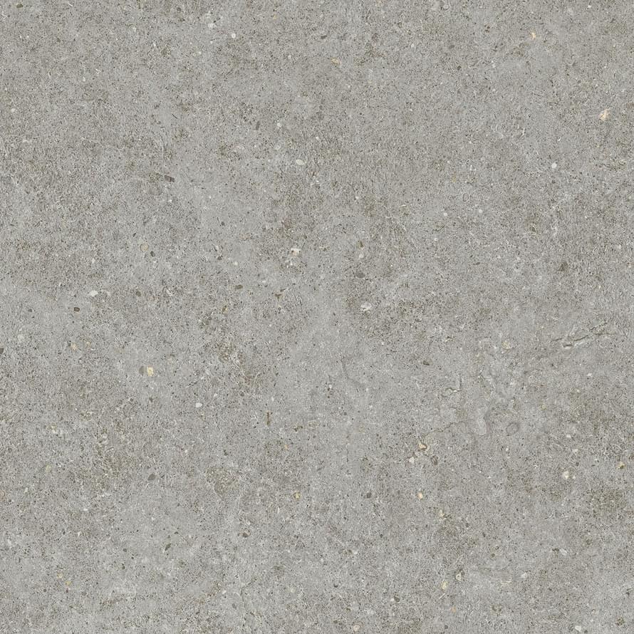 Керамогранит Atlas Concorde Фон Grey 80x80