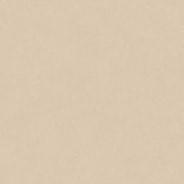 Керамогранит Porcelanosa Фон Clay L 120x120