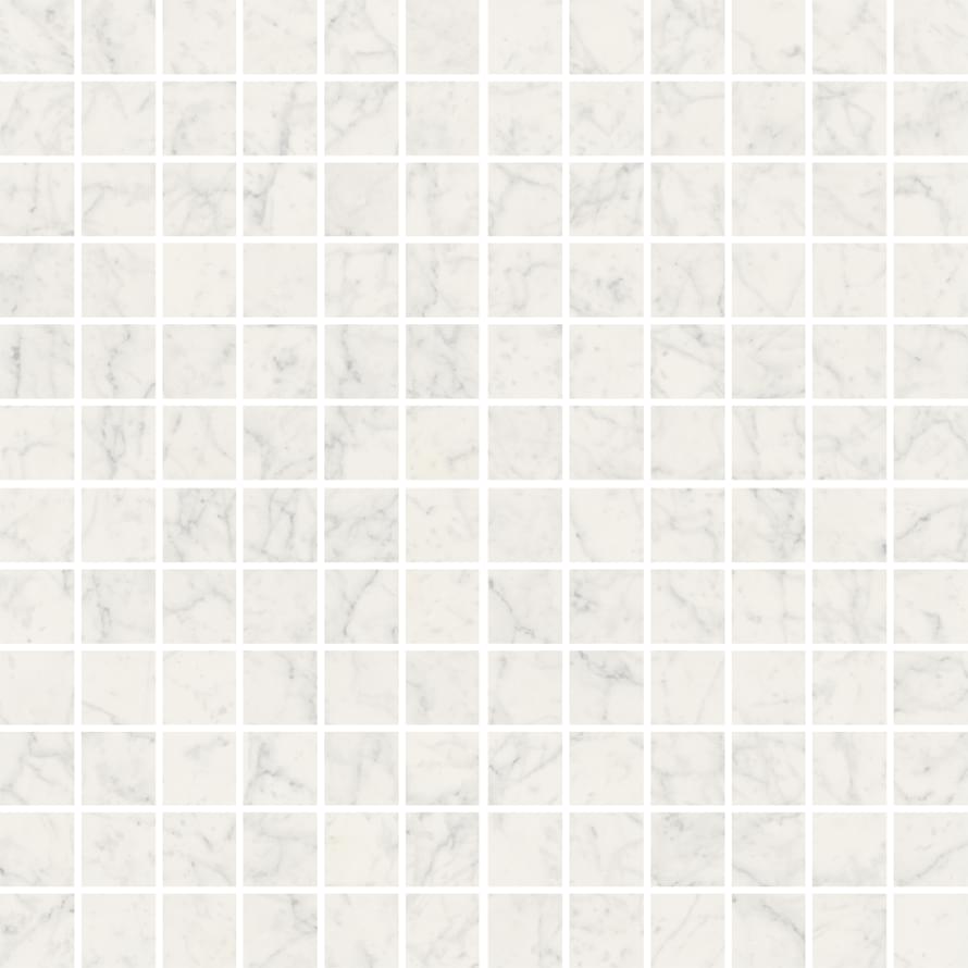 Мозаика Fioranese Мозаика Bianco Gioia Mosaic 2.5x2.5 Levigato Rettificato 30x30