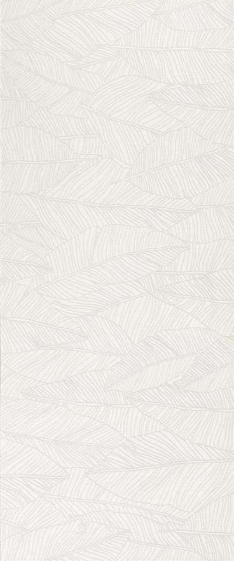 Керамическая плитка Atlas Concorde Декор White Leaf 50x120