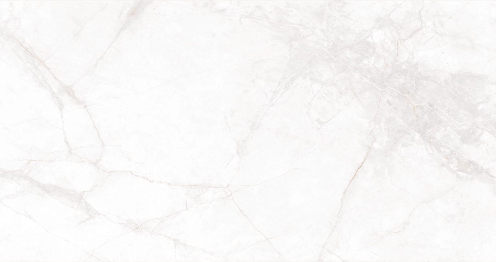 Basconi Home Porcelain Carrara Silver Matt