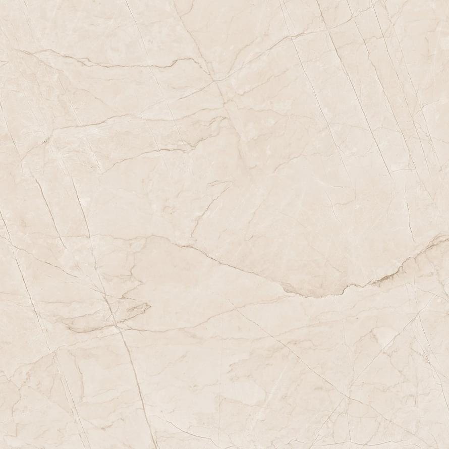 Ocean Ceramic Porcelain Lizzard Ivory