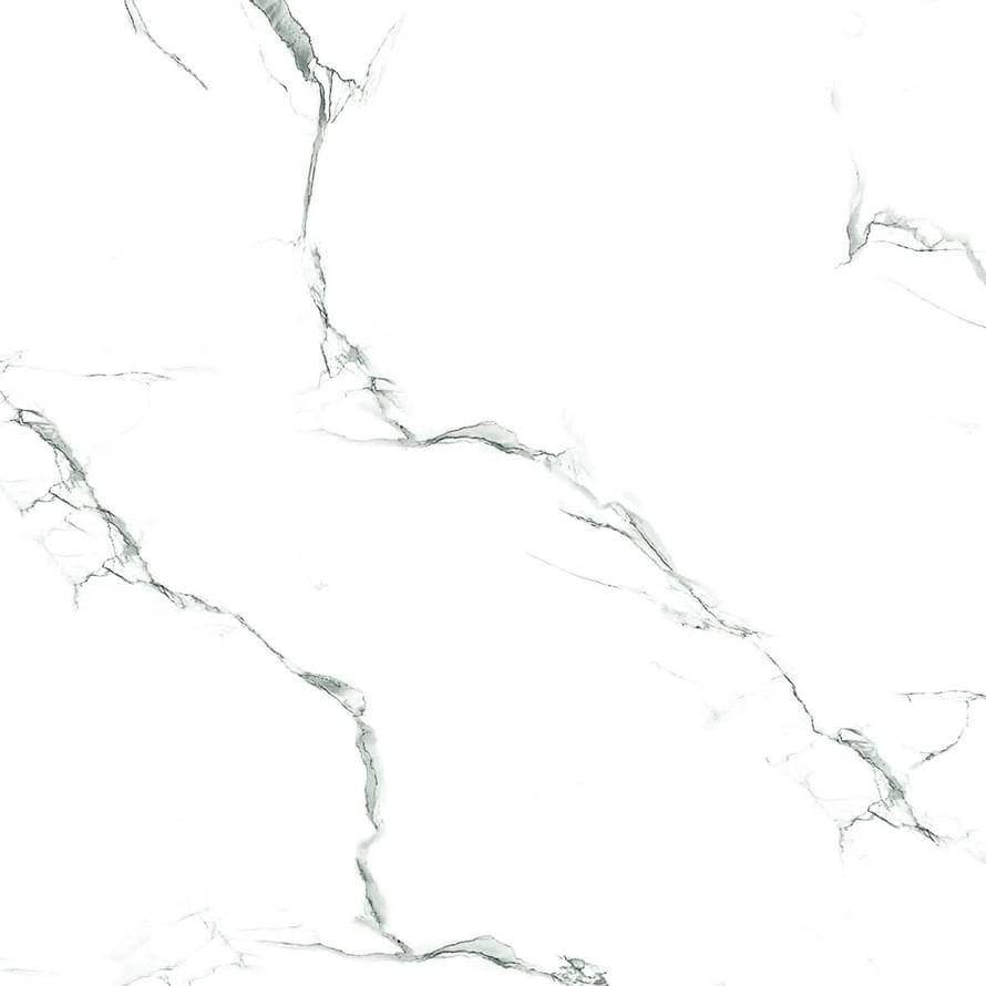 Maimoon Polished Gemini White Glossy
