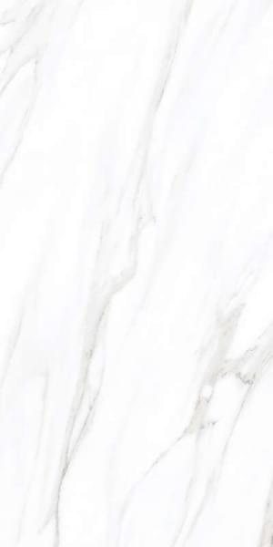 Leopard Porcelain Marble Calacata Polished