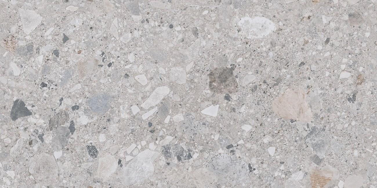 Ocean Ceramic Porcelain Fossil Hav