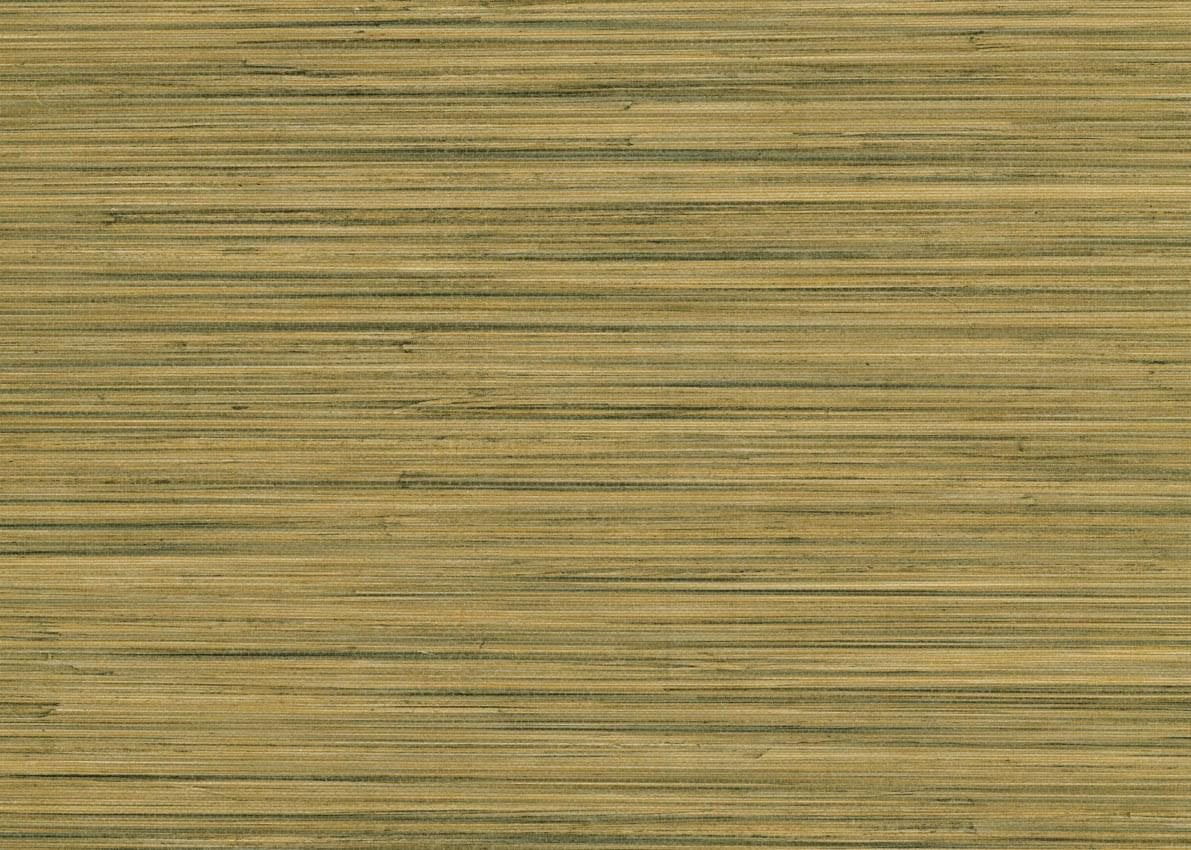Обои Jannelli And Volpi Фон 6077 JV Akita 10x87