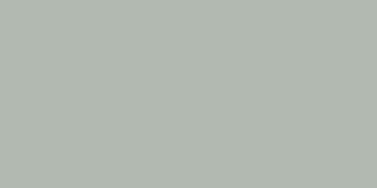 Ocean Ceramic Slim Exotic Olive