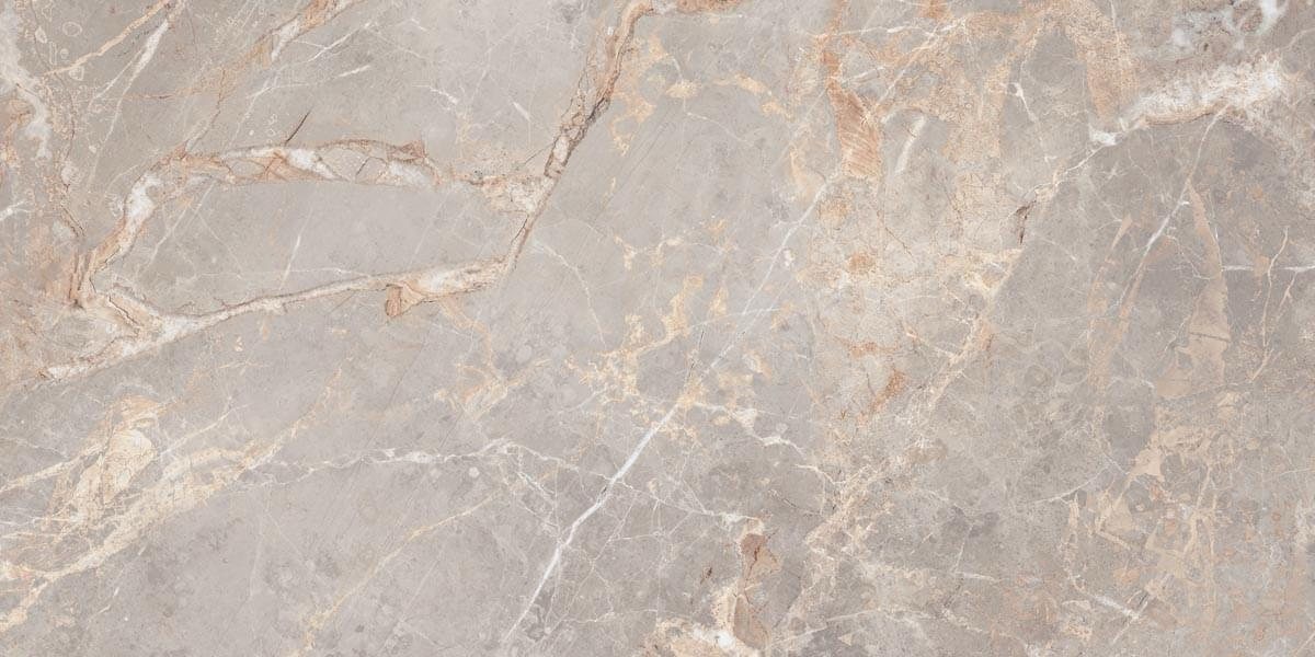 Ocean Ceramic Porcelain Penlico Abalone