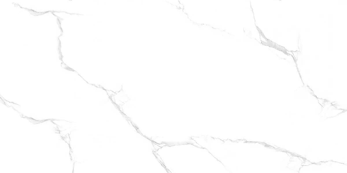 Maimoon Polished Silver Statuario Glossy