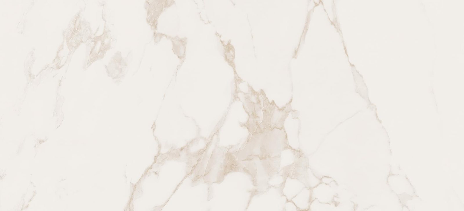Керамическая плитка Fap Фон Calacatta Brill 50x120