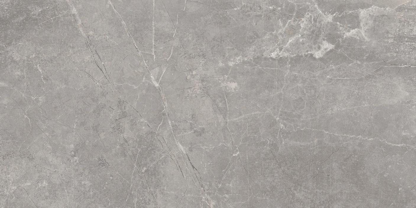 Baldocer Concept Gray
