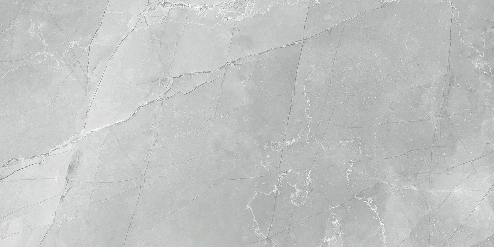 LCM Porcelain Armani Marble Gray