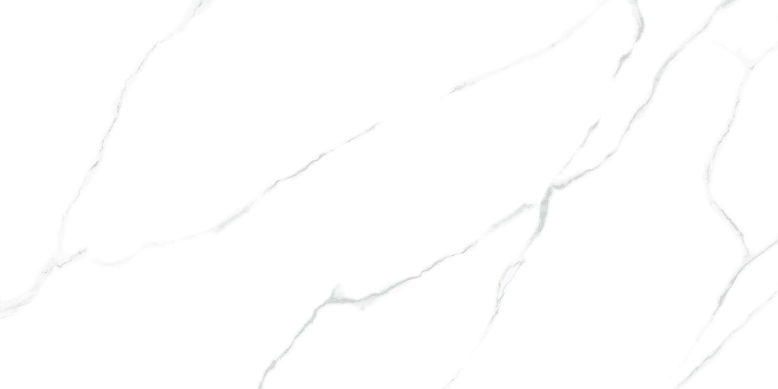 LCM Porcelain Atlantic Marble