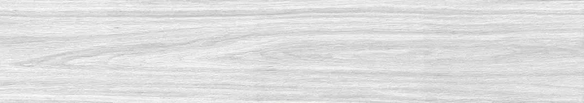 Ennface Wood Foresta Bianco