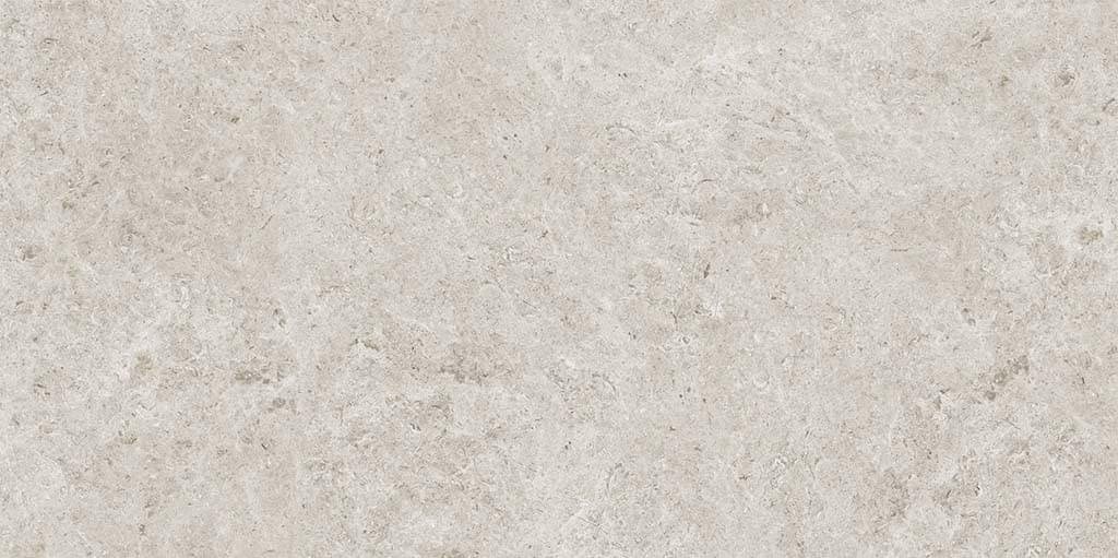 Gravita Seashell Natural R10 Carving