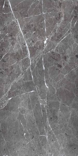 Primavera Polished Ardesia Grafito