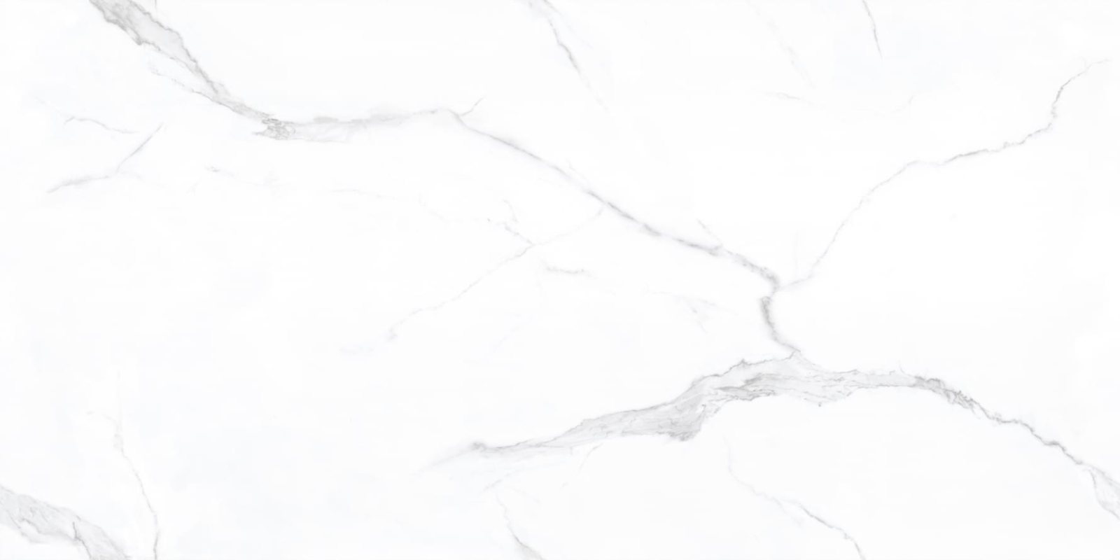Basconi Home Porcelain Carrara Full Body Polished