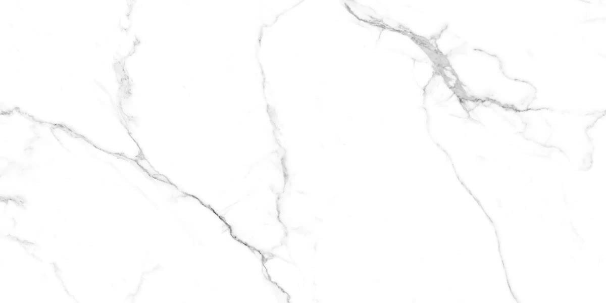 Maimoon Polished Caribbean White Glossy