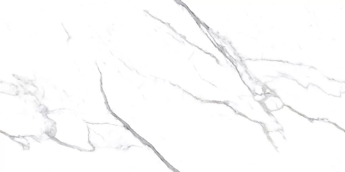 Art Ceramic Full Lappato Platinum White