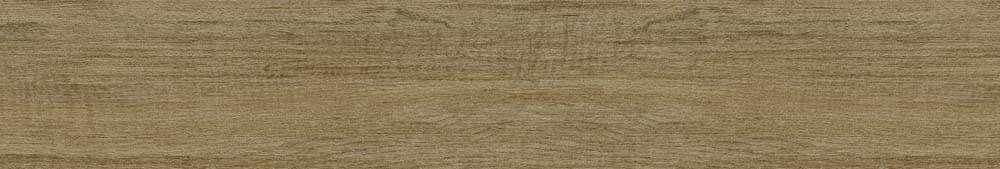 New Tiles Islandia Abedul