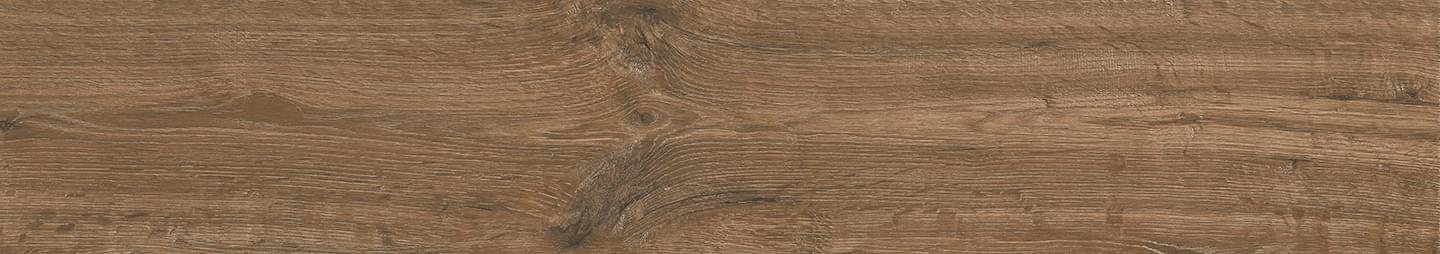 Staro Forest Hazelnut
