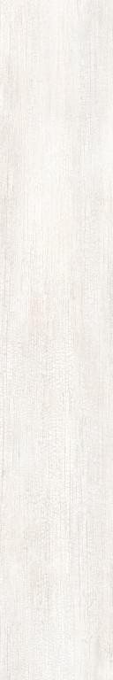 Roberto Cavalli The Wild Spirit Wood Blanc Nt Rt