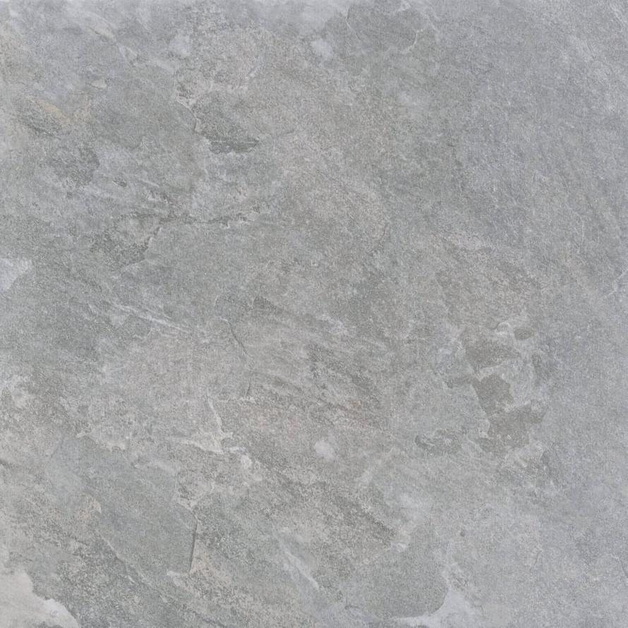 Gambini Bet Silver Grey