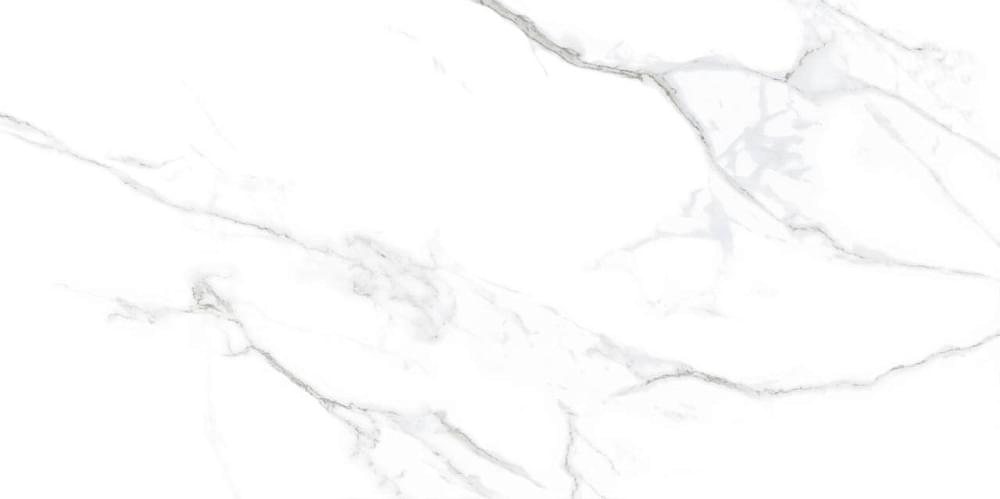 Basconi Home Porcelain Statuario Matt