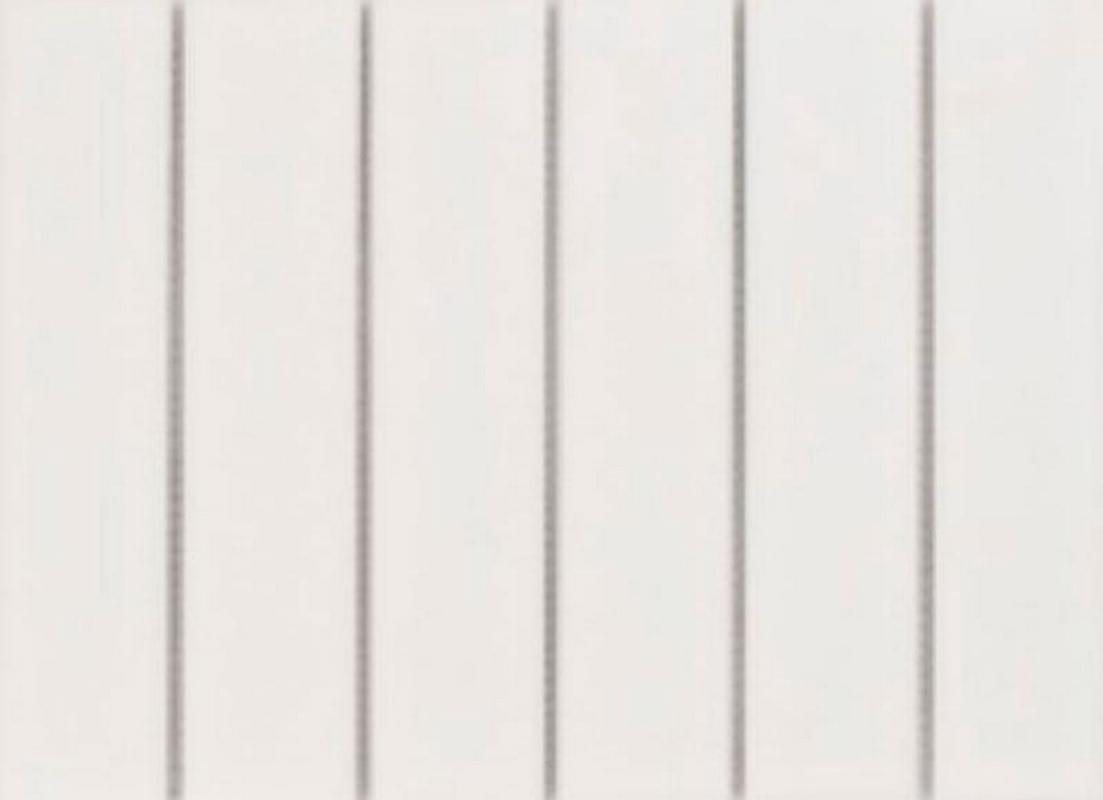 Мозаика Porcelain Mosaic Мозаика Mosaic 4.5X19.5 Белая Матовая 19.5x28.8