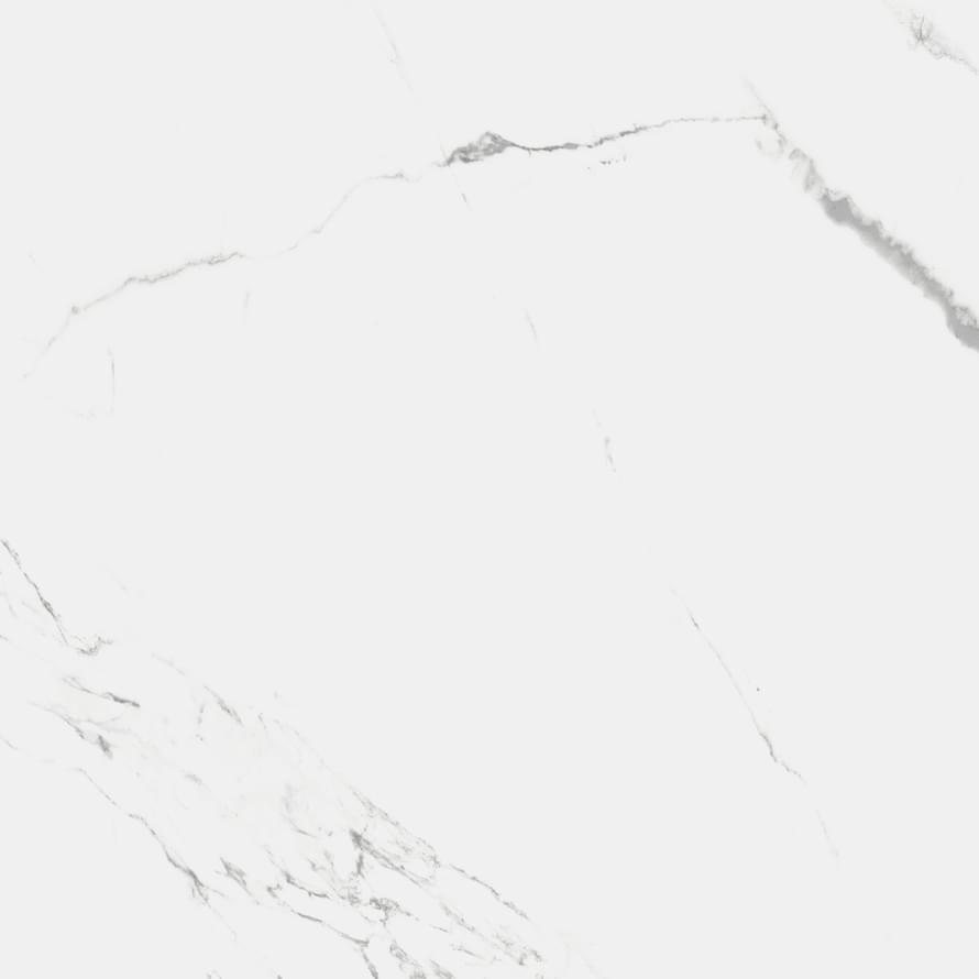 Royce Porcelain Carrara Marmo Polished
