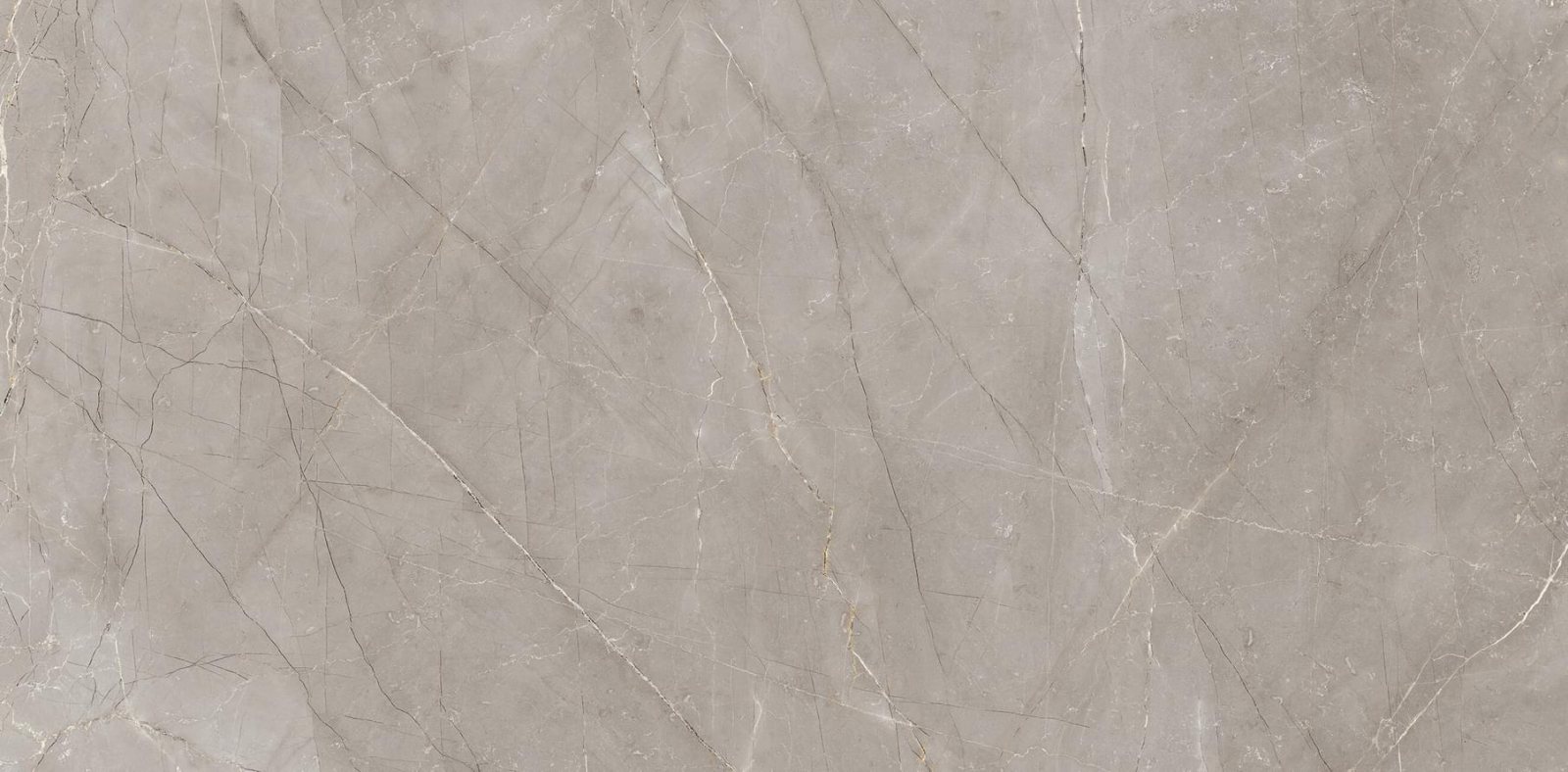 Nexion Marble Pulpis Grigio Pompeii Lappato Matt