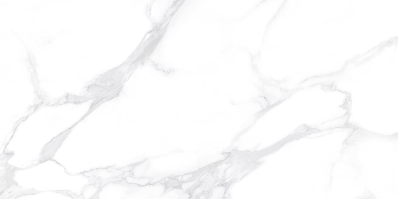 LCM Porcelain Dallas Silver