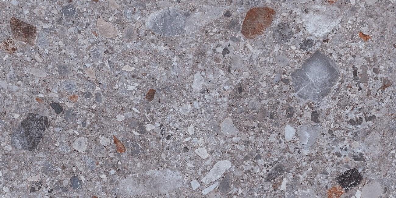 Ocean Ceramic Porcelain Fossil Grus