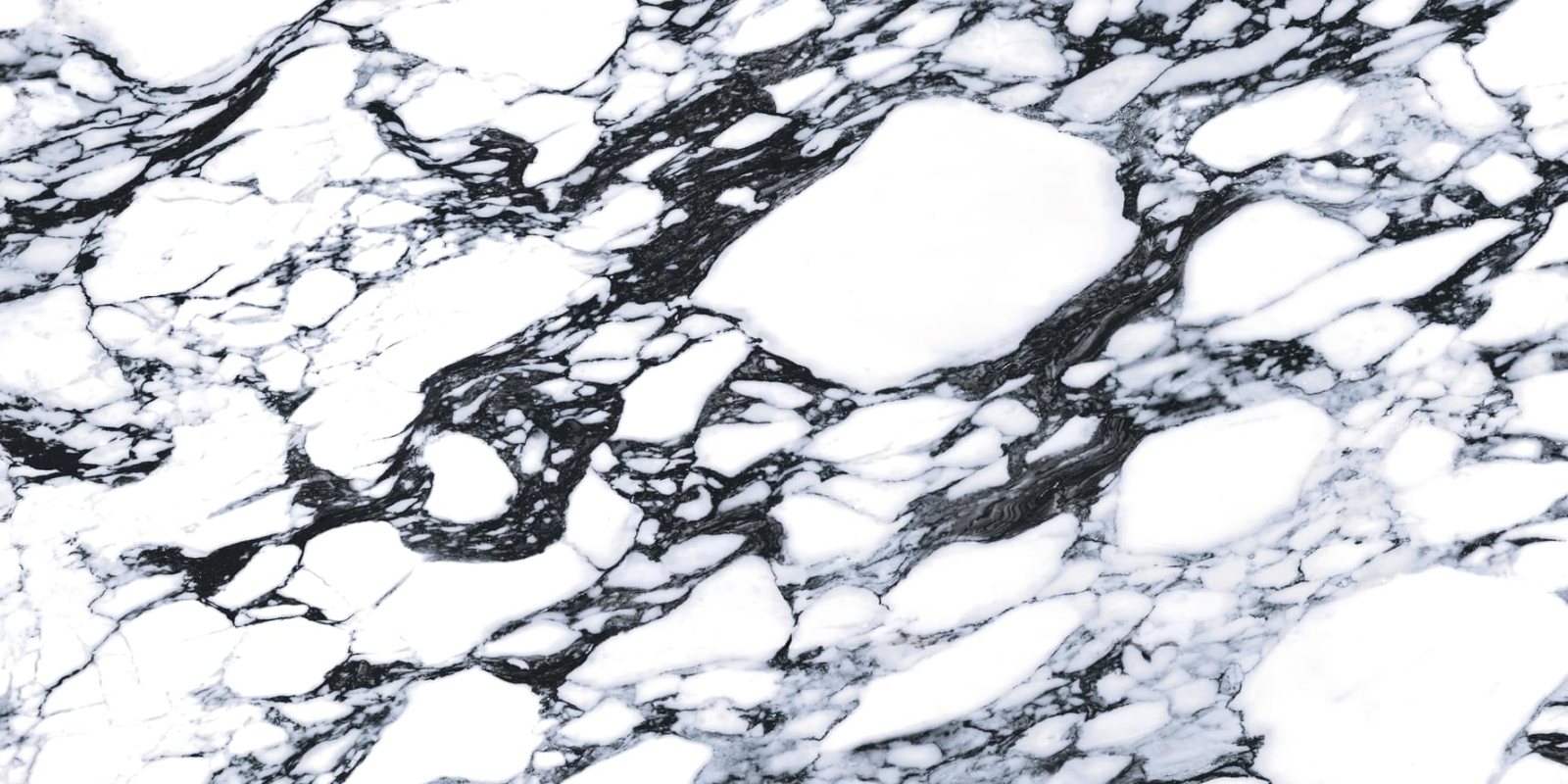 Basconi Home Porcelain Bulgari Digital Glazed 3D Ink