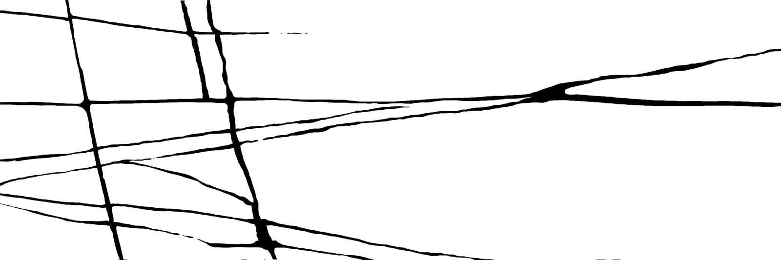 New Trend Chicago White Rock