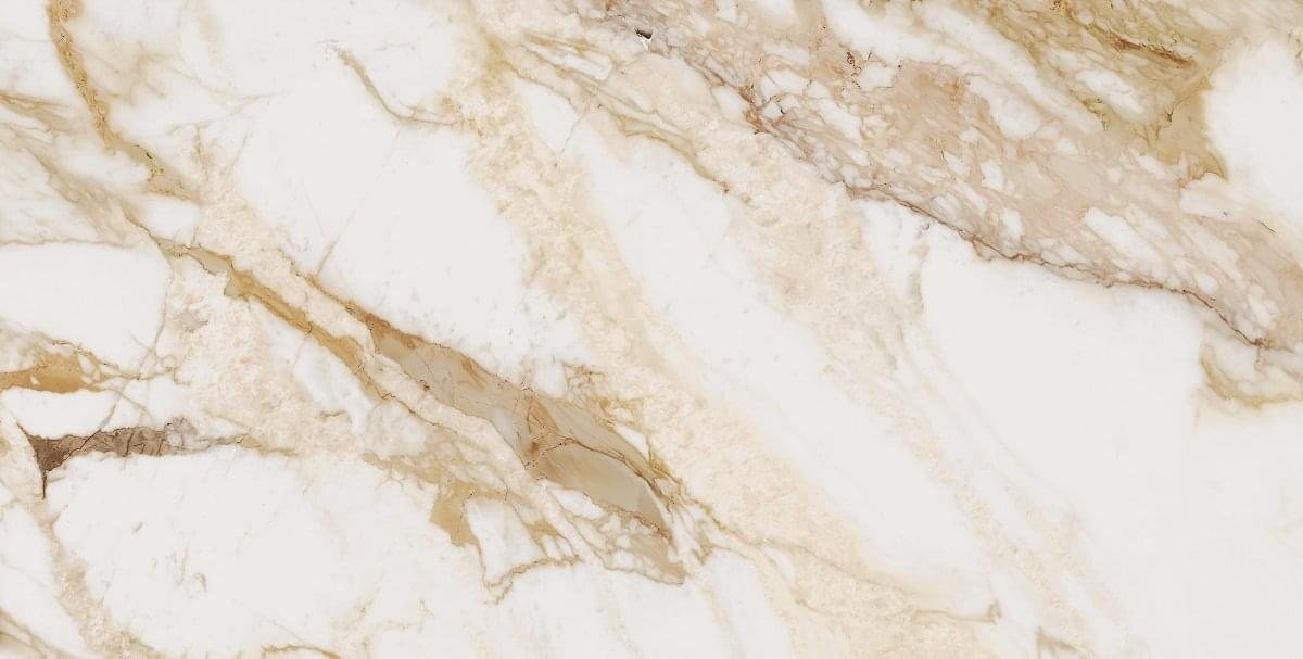 Ocean Ceramic Porcelain Loyal