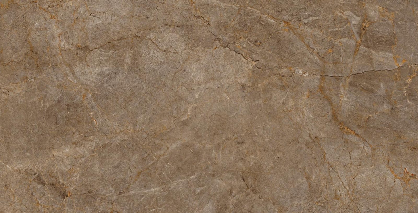 Basconi Home Porcelain Root Brown Semi Polished
