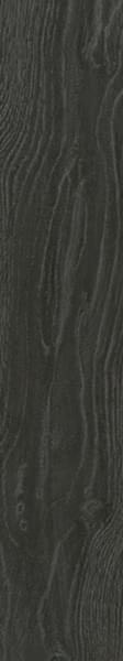 Monopole Orinoco Grafito Placket