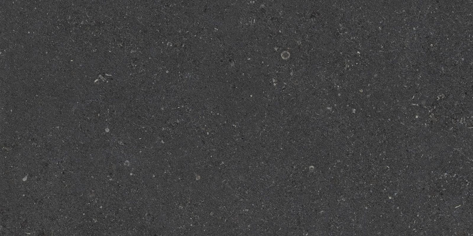 Nexion Lithic Kilkenny Nero Absolute Matte