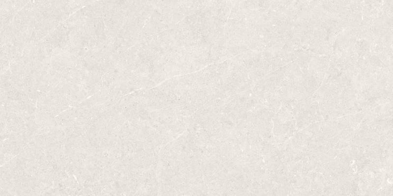 Керамогранит Argenta Фон Light Matt Artech 60x120
