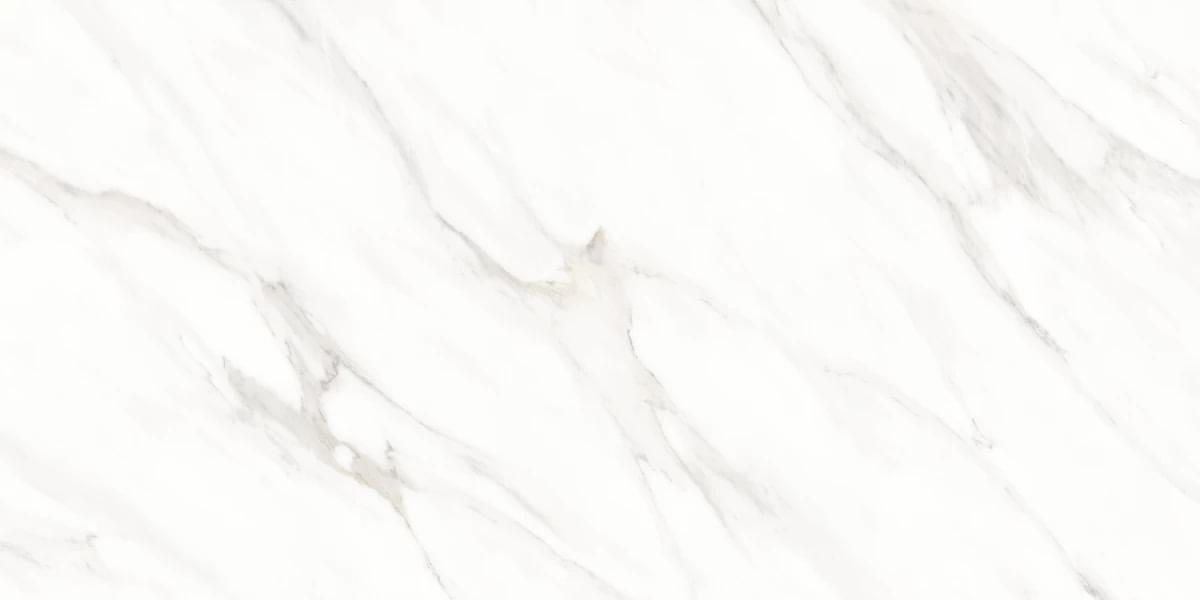Maimoon Polished Roman Satvario Glossy