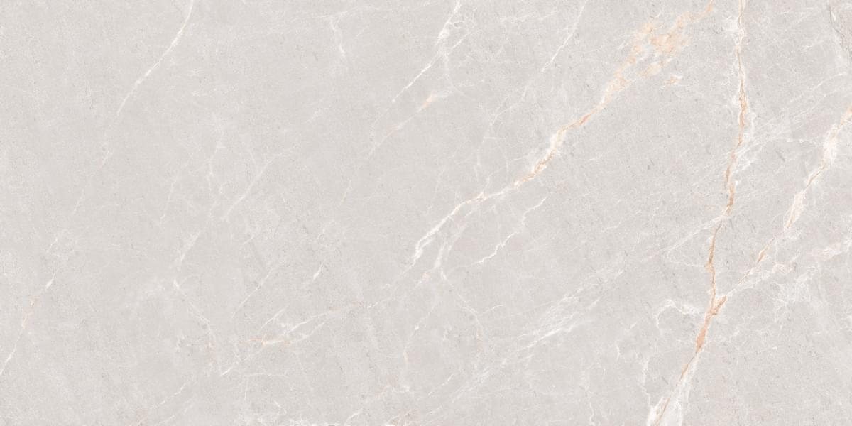 Керамогранит Neodom Фон Persian Grey Matt 60x120