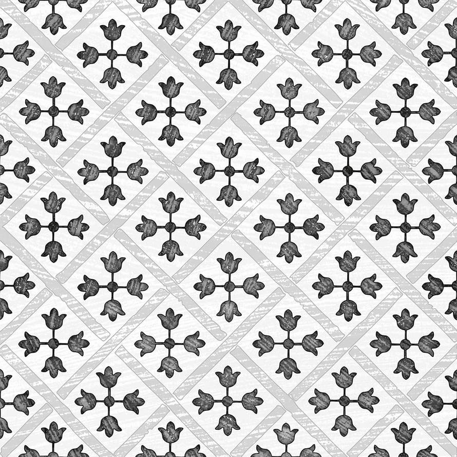 Monopole Guadalupe Grey