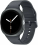 Смарт-часы Samsung Galaxy Watch 8 44 Graphite, S/M