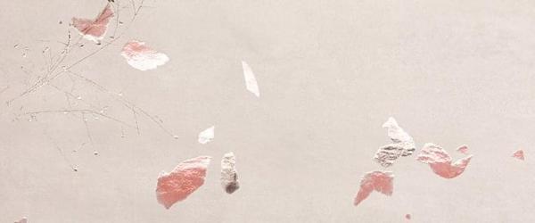 Fap Ylico Petals