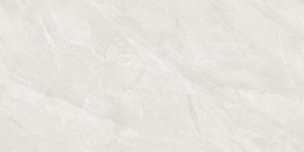 Basconi Home Porcelain Precious Stone Full Body Polished