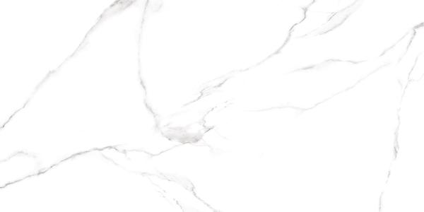 Alma Ceramica Carrara GFU60120CRR00R